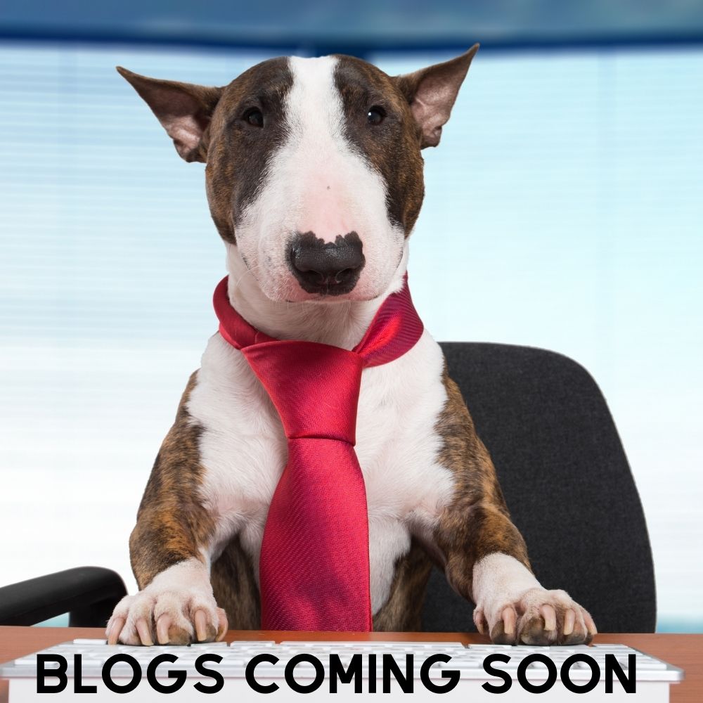 Adored Animals Hospitality Blogs Coming soon