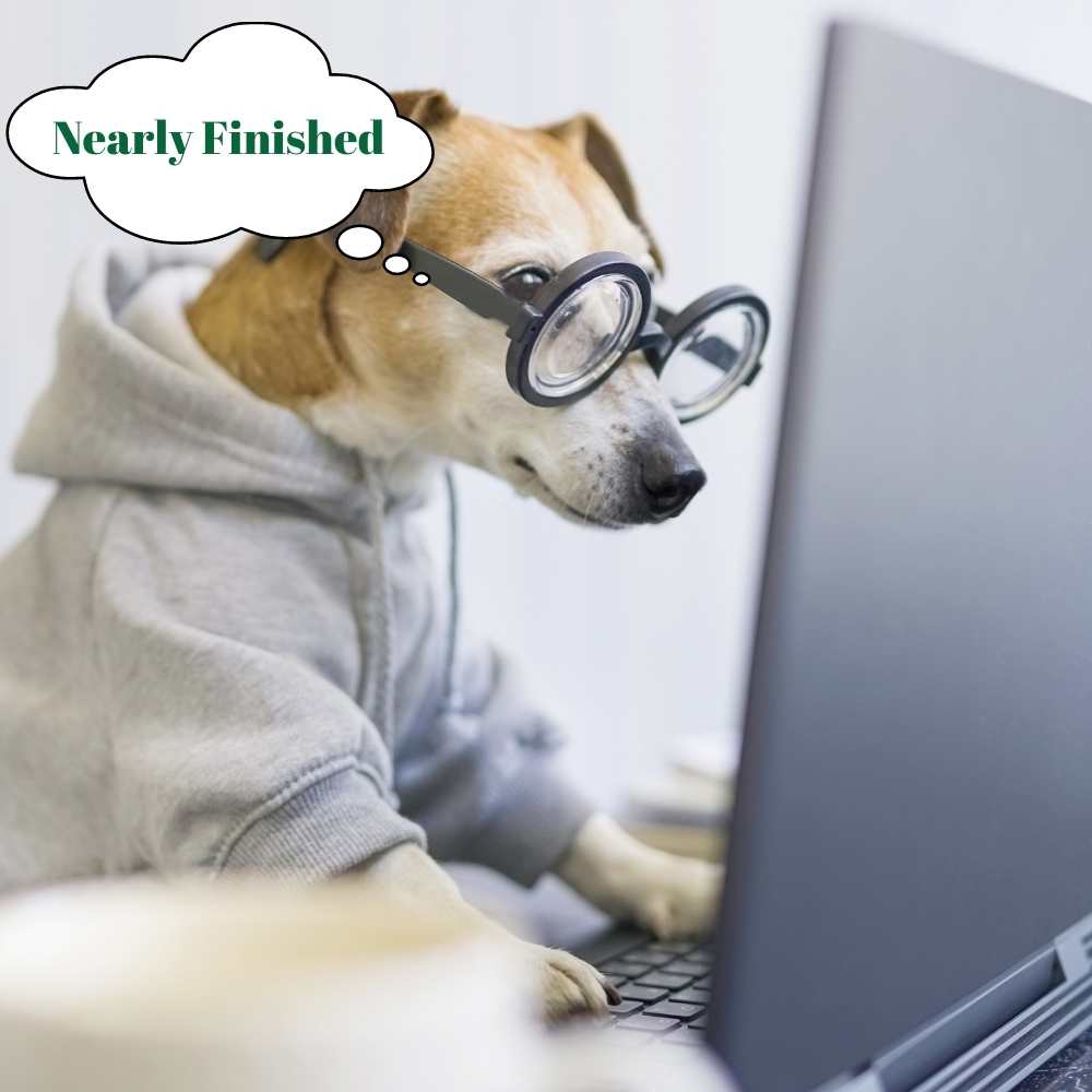 dog working on our dog boarding website page 