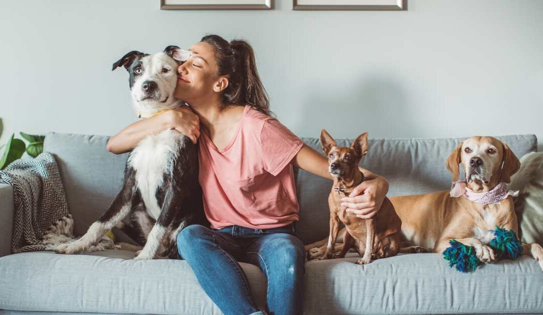 The Benefits of Pets for Mental Health