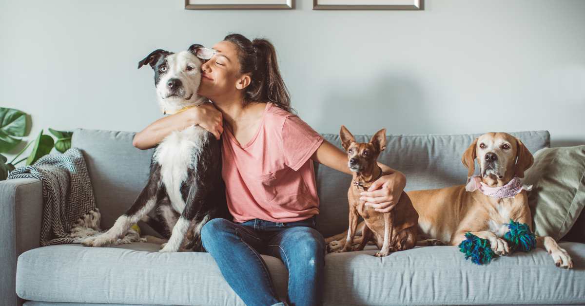 a lady on the sofa with her adored animals