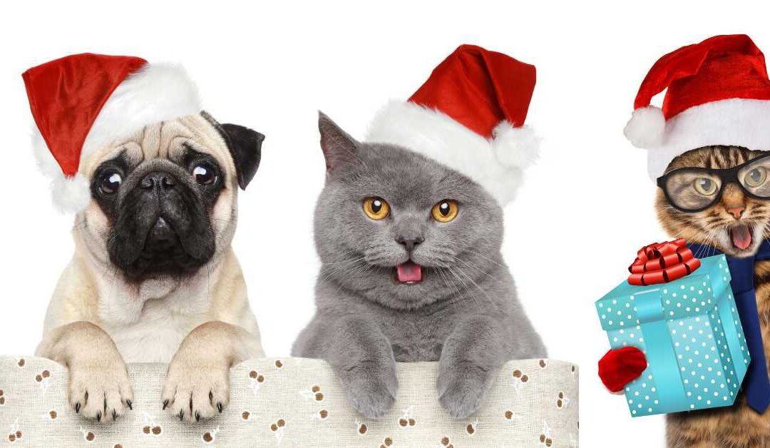 Paws and Mischief: Hilarious Christmas Tales of Pet Shenanigans